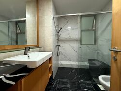 Amaryllis Ville (D11), Condominium #539002551